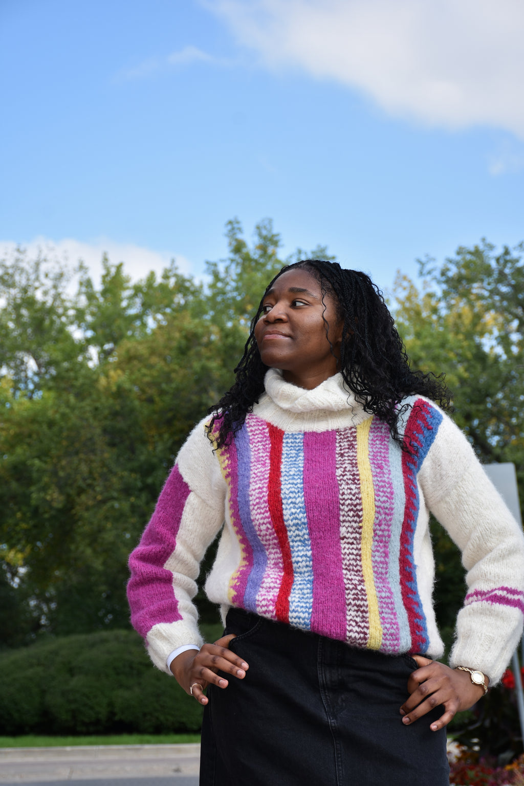 Patterned  Baby Alpaca Sweater
