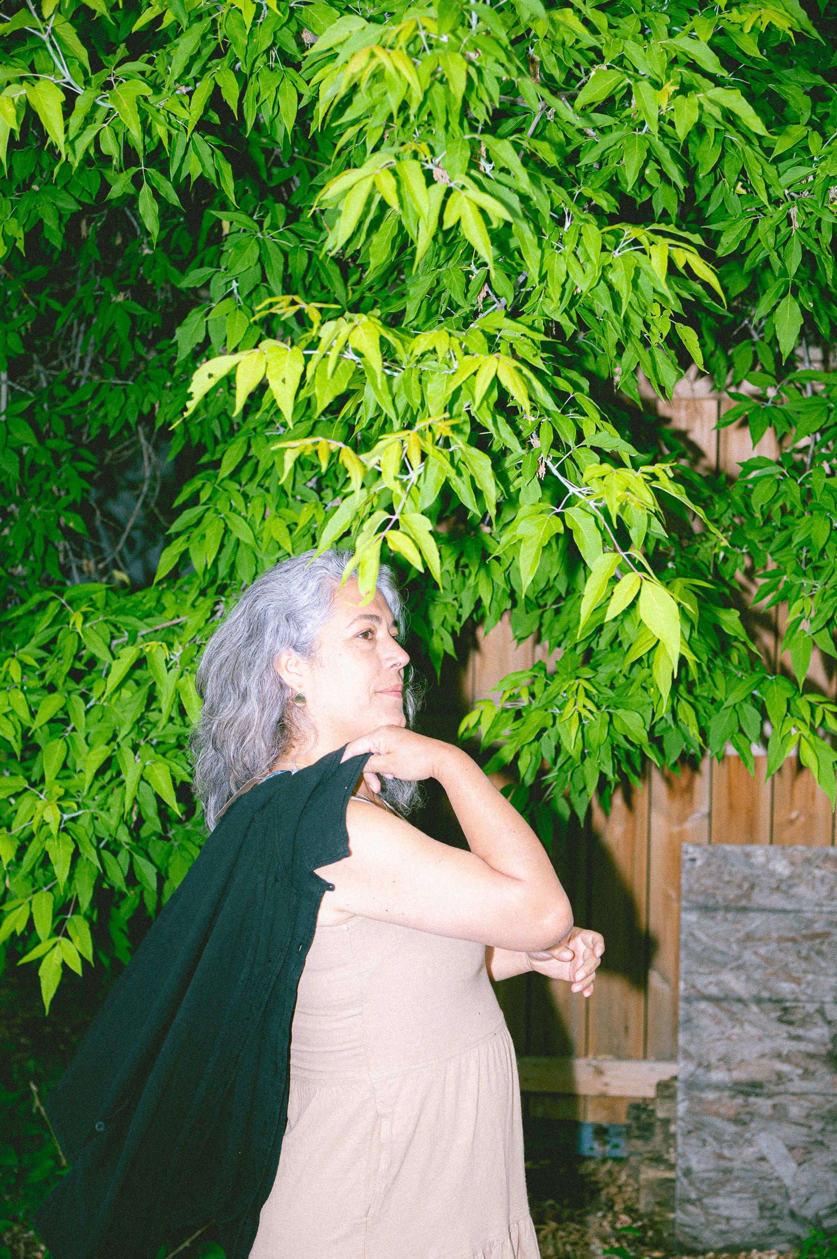 Palmira Dress